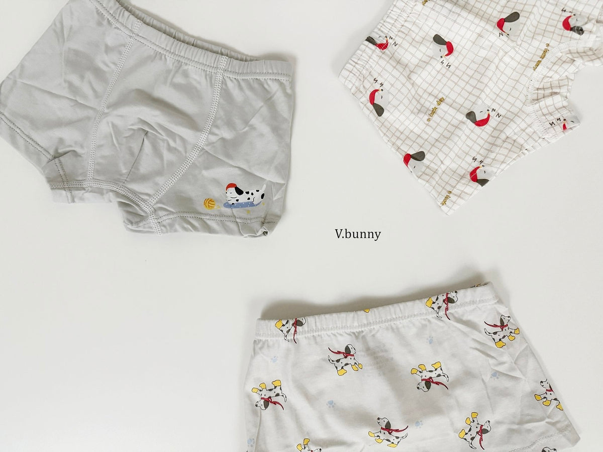 [PRE-ORDER] Dally Pop Boys' Underwear