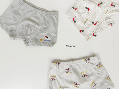[PRE-ORDER] Dally Pop Boys' Underwear