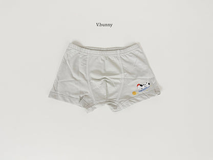 [PRE-ORDER] Dally Pop Boys' Underwear