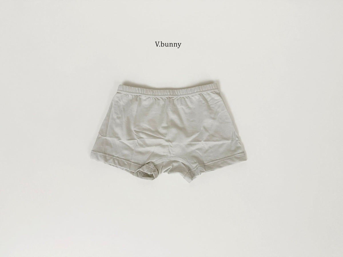 [PRE-ORDER] Dally Pop Boys' Underwear