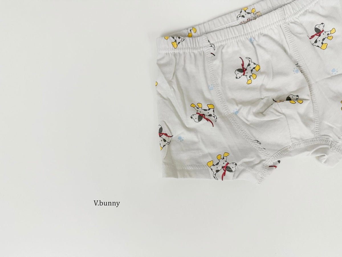 [PRE-ORDER] Dally Pop Boys' Underwear