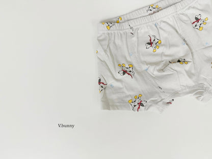 [PRE-ORDER] Dally Pop Boys' Underwear