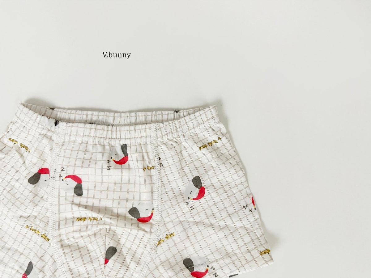 [PRE-ORDER] Dally Pop Boys' Underwear