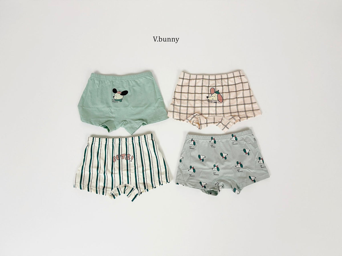 [PRE-ORDER] Floppy Boys' Underwear Set
