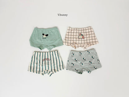 [PRE-ORDER] Floppy Boys' Underwear Set
