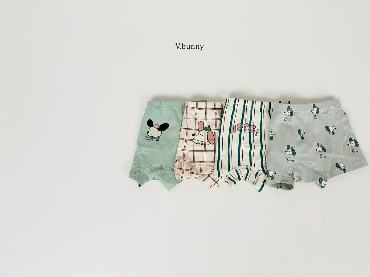 [PRE-ORDER] Floppy Boys' Underwear Set