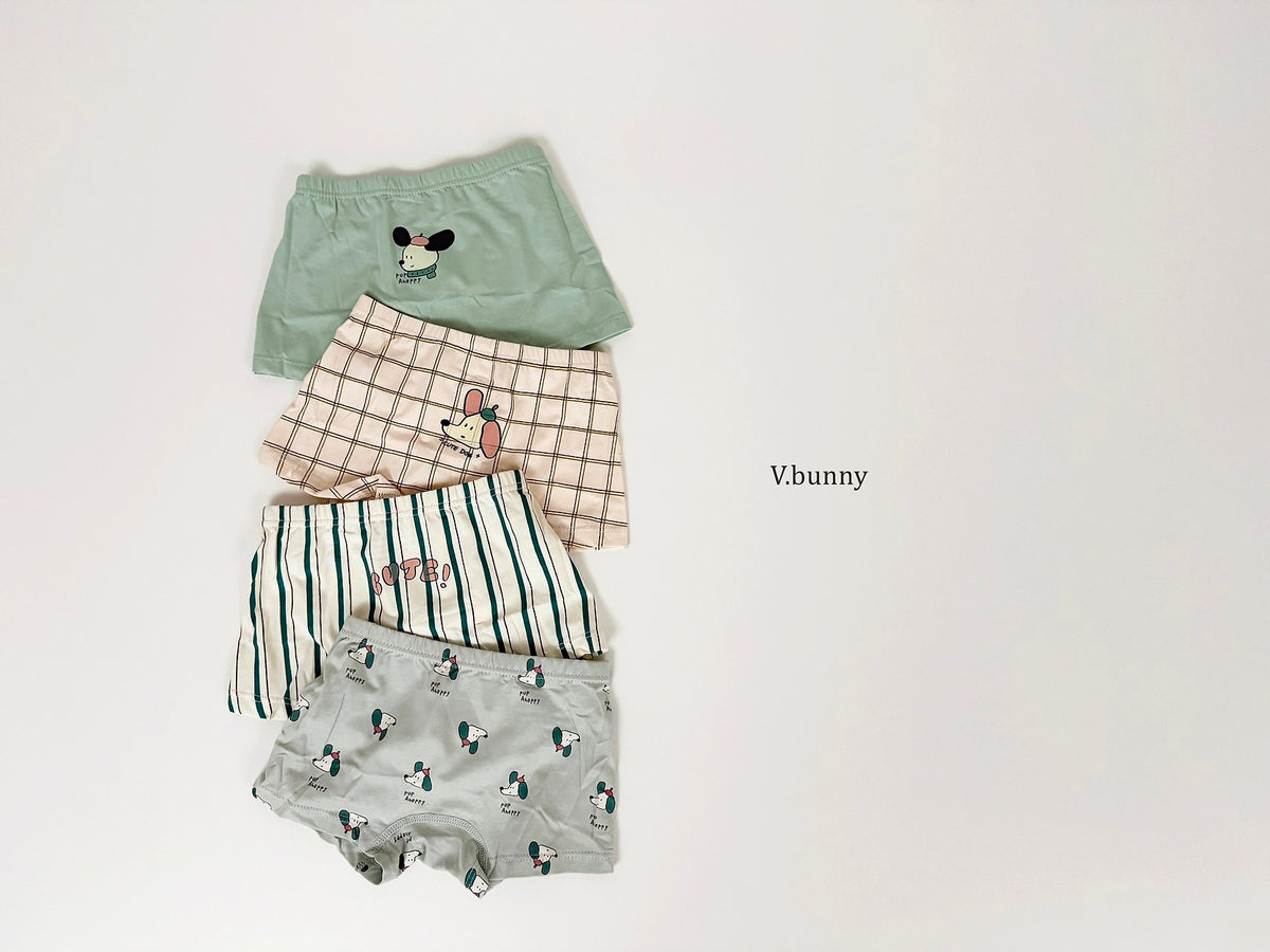 [PRE-ORDER] Floppy Boys' Underwear Set
