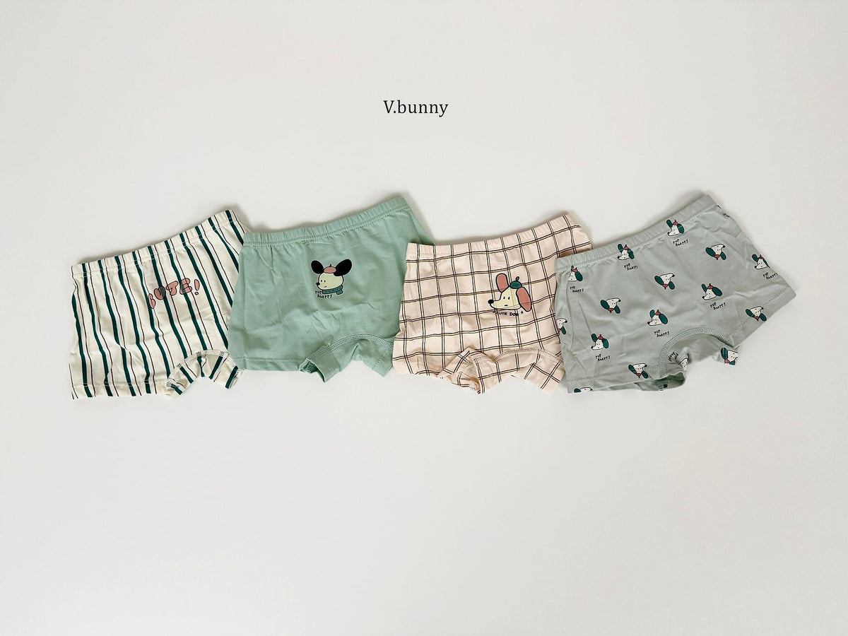 [PRE-ORDER] Floppy Boys' Underwear Set