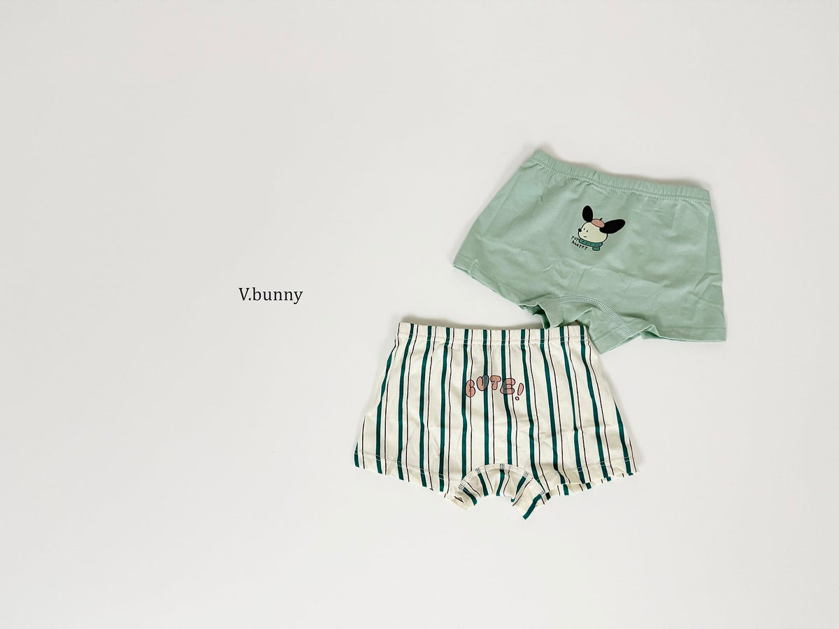 [PRE-ORDER] Floppy Boys' Underwear Set
