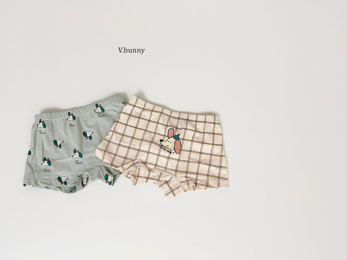[PRE-ORDER] Floppy Boys' Underwear Set