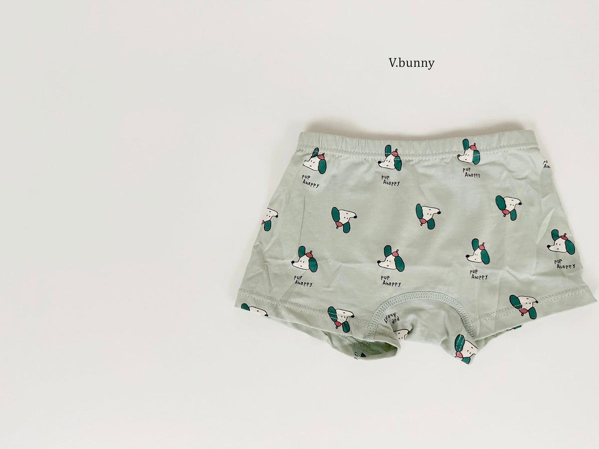 [PRE-ORDER] Floppy Boys' Underwear Set