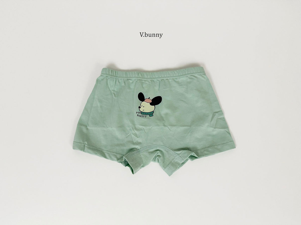 [PRE-ORDER] Floppy Boys' Underwear Set