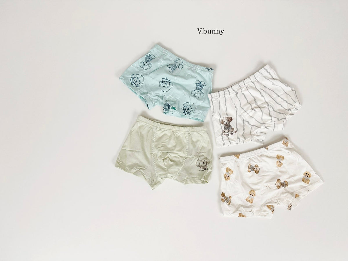 [PRE-ORDER] Poodle Boys' Underwear Set