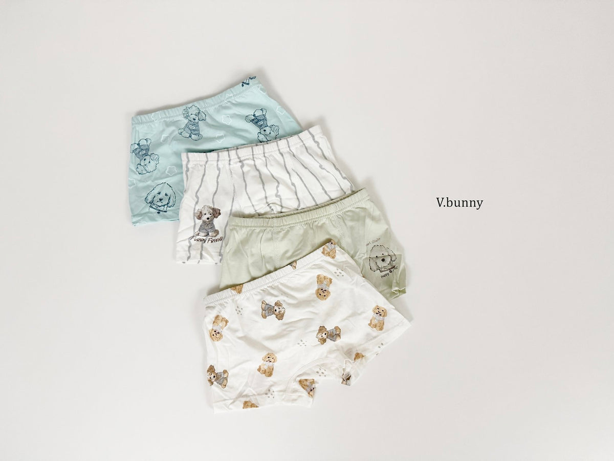 [PRE-ORDER] Poodle Boys' Underwear Set