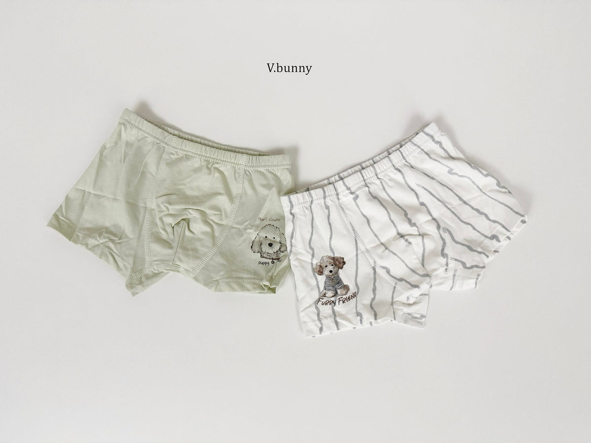 [PRE-ORDER] Poodle Boys' Underwear Set