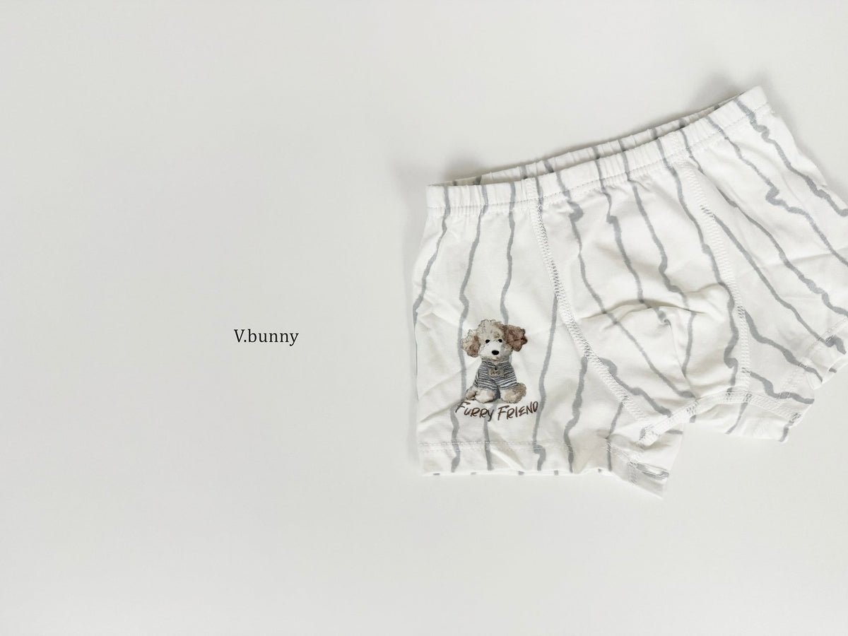 [PRE-ORDER] Poodle Boys' Underwear Set