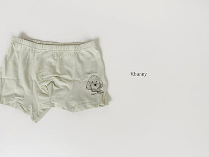 [PRE-ORDER] Poodle Boys' Underwear Set