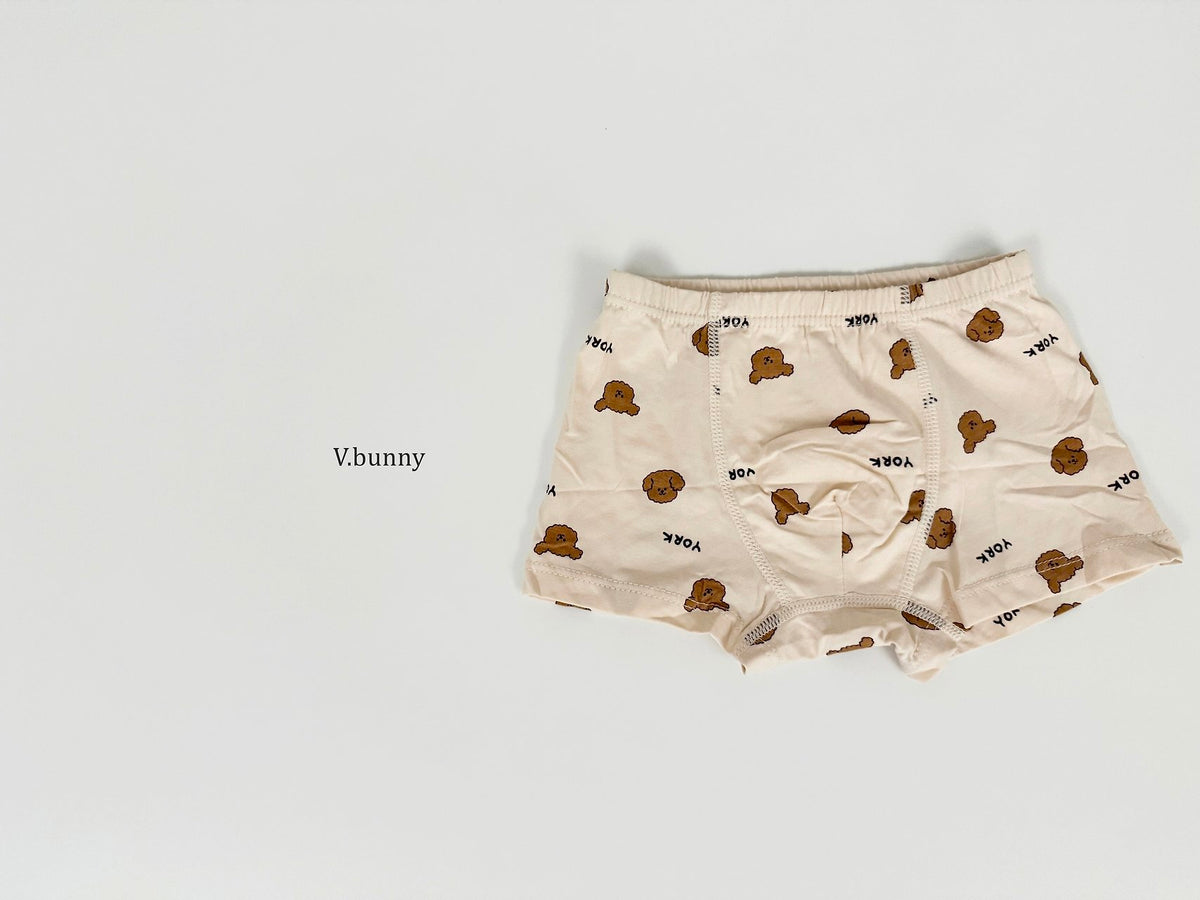 [PRE-ORDER] Cookie Bear Boys' Underwear Set