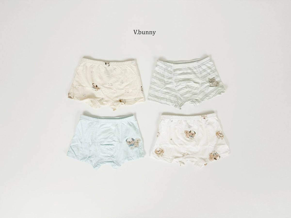 [PRE-ORDER] Fluffy Puppy Boys' Underwear Set