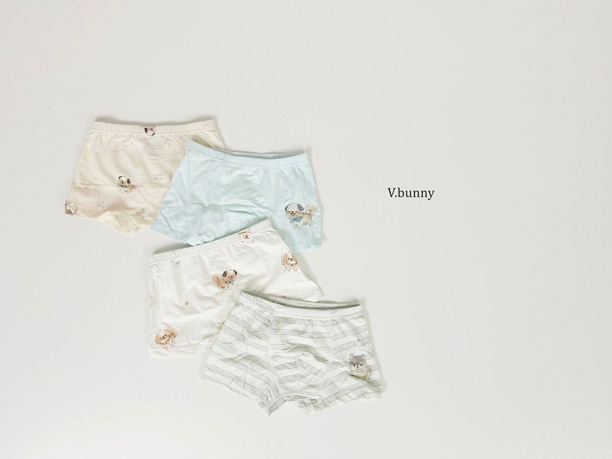 [PRE-ORDER] Fluffy Puppy Boys' Underwear Set