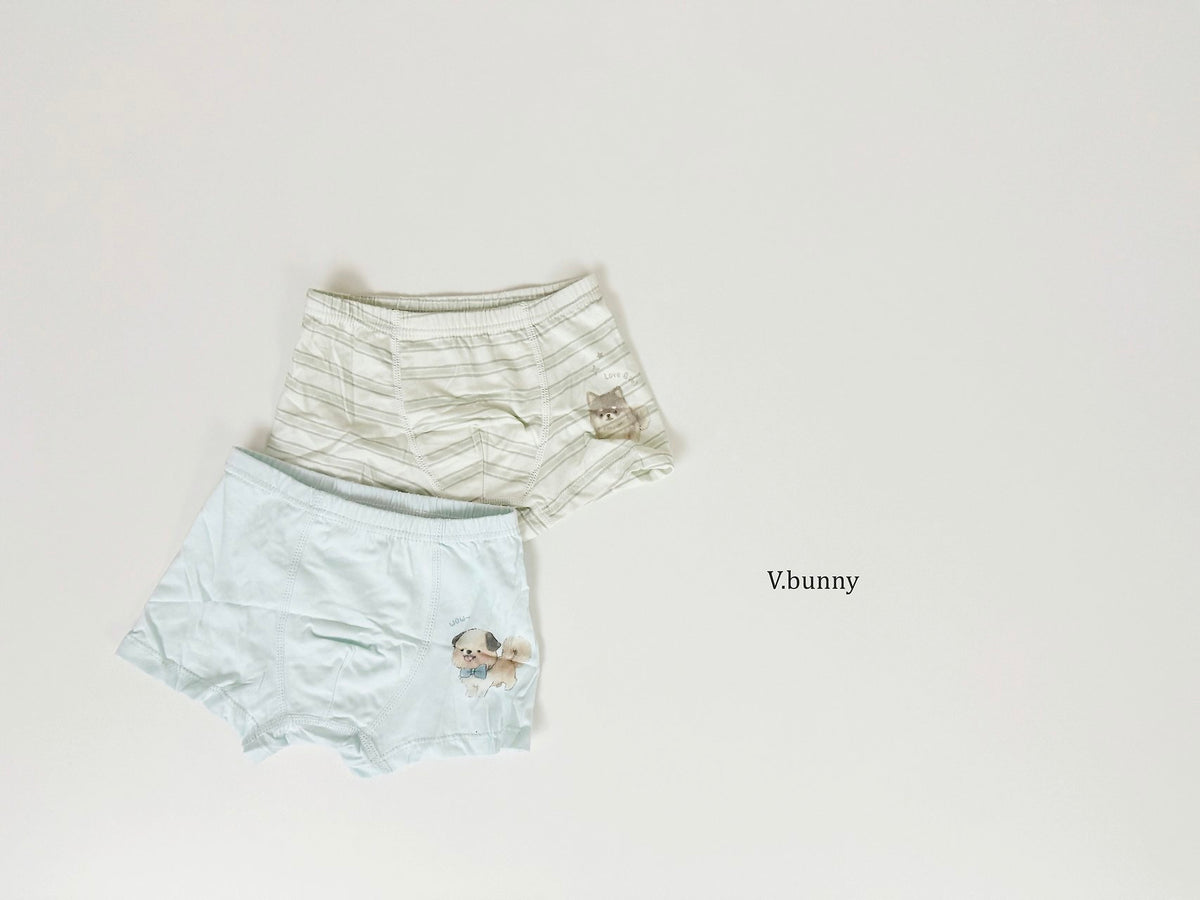 [PRE-ORDER] Fluffy Puppy Boys' Underwear Set