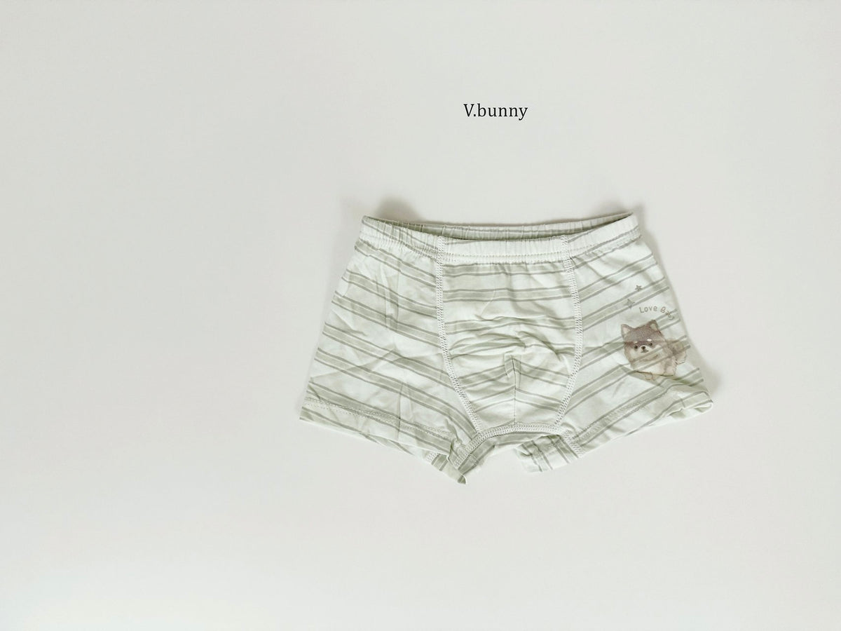 [PRE-ORDER] Fluffy Puppy Boys' Underwear Set