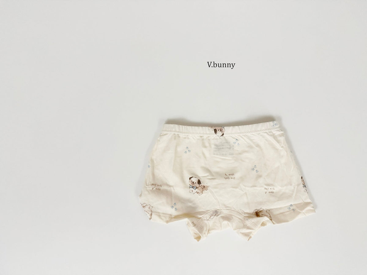 [PRE-ORDER] Fluffy Puppy Boys' Underwear Set