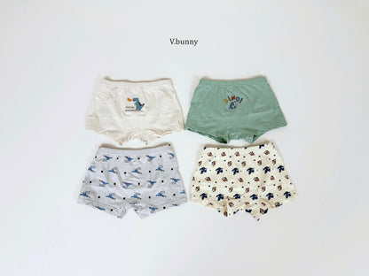 [PRE-ORDER] Dino Boys' Underwear Set