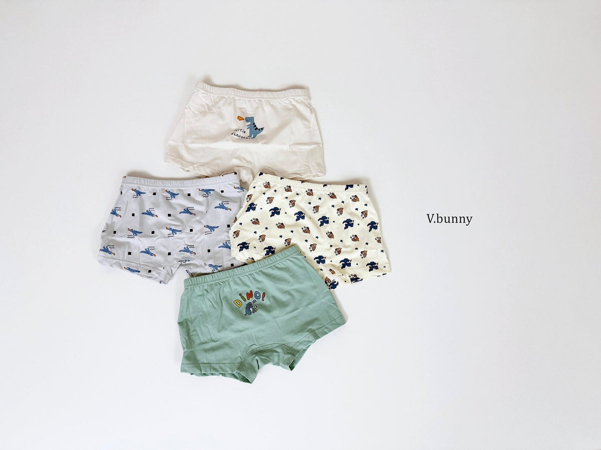 [PRE-ORDER] Dino Boys' Underwear Set