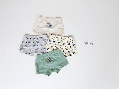 [PRE-ORDER] Dino Boys' Underwear Set