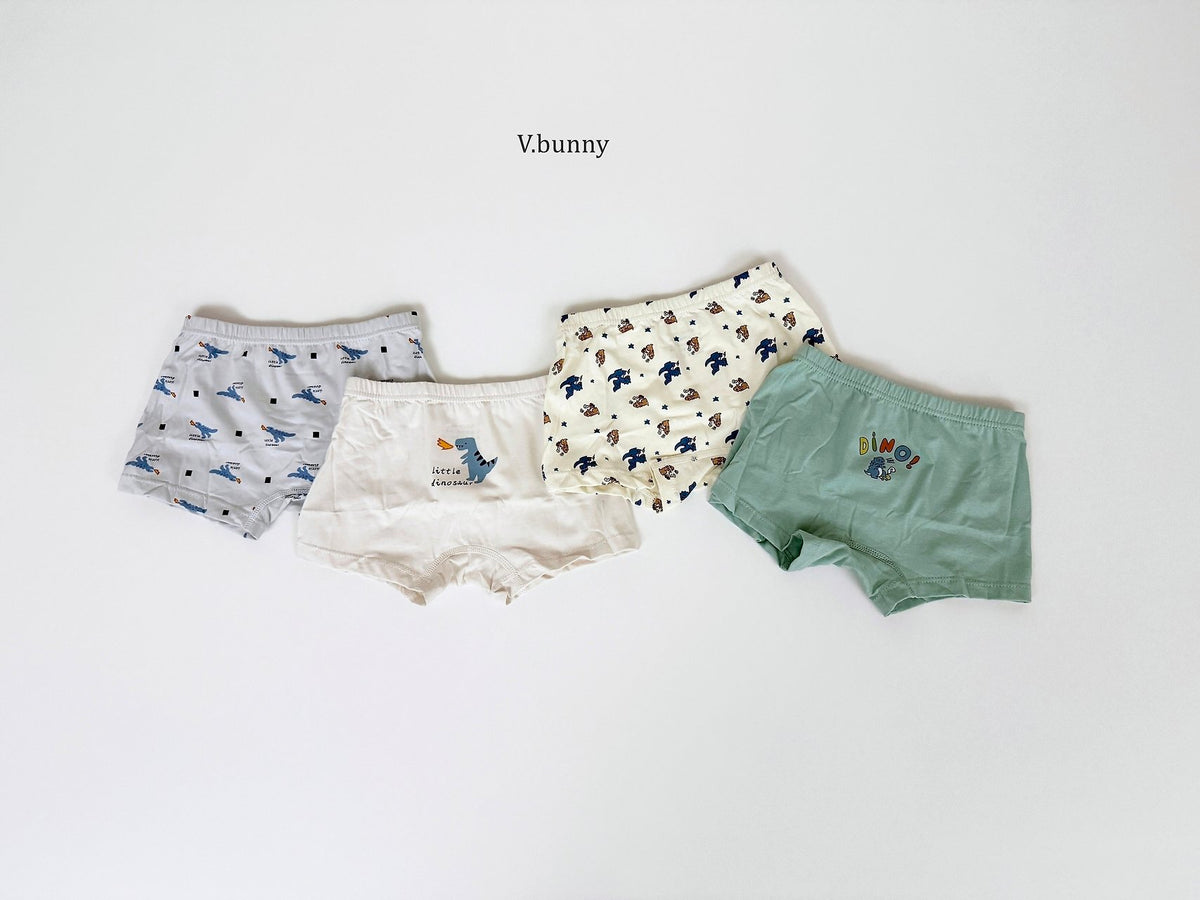 [PRE-ORDER] Dino Boys' Underwear Set