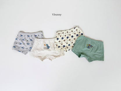 [PRE-ORDER] Dino Boys' Underwear Set