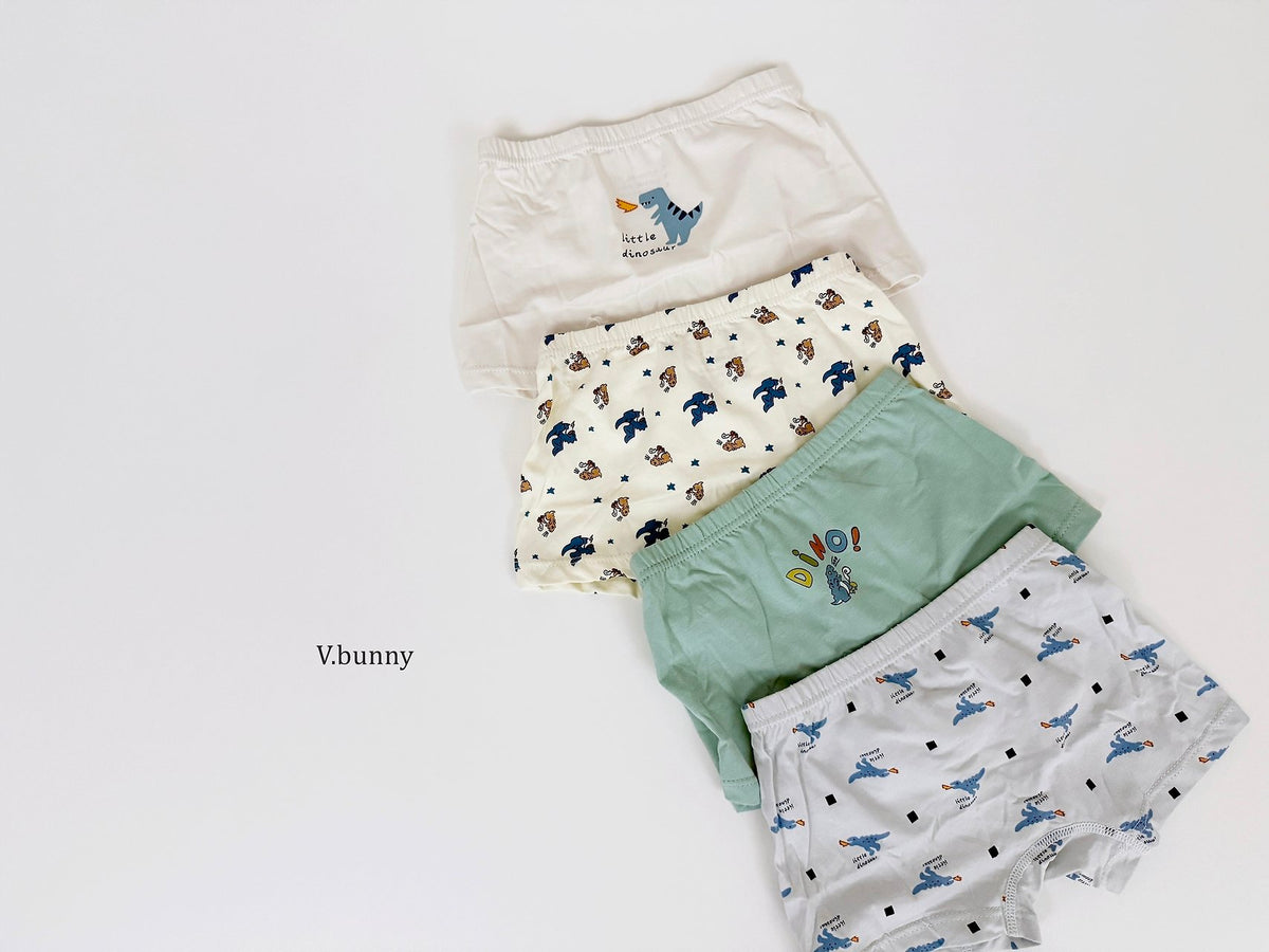 [PRE-ORDER] Dino Boys' Underwear Set