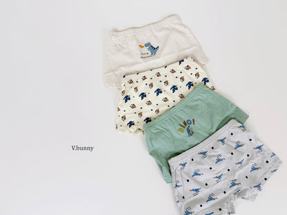 [PRE-ORDER] Dino Boys' Underwear Set