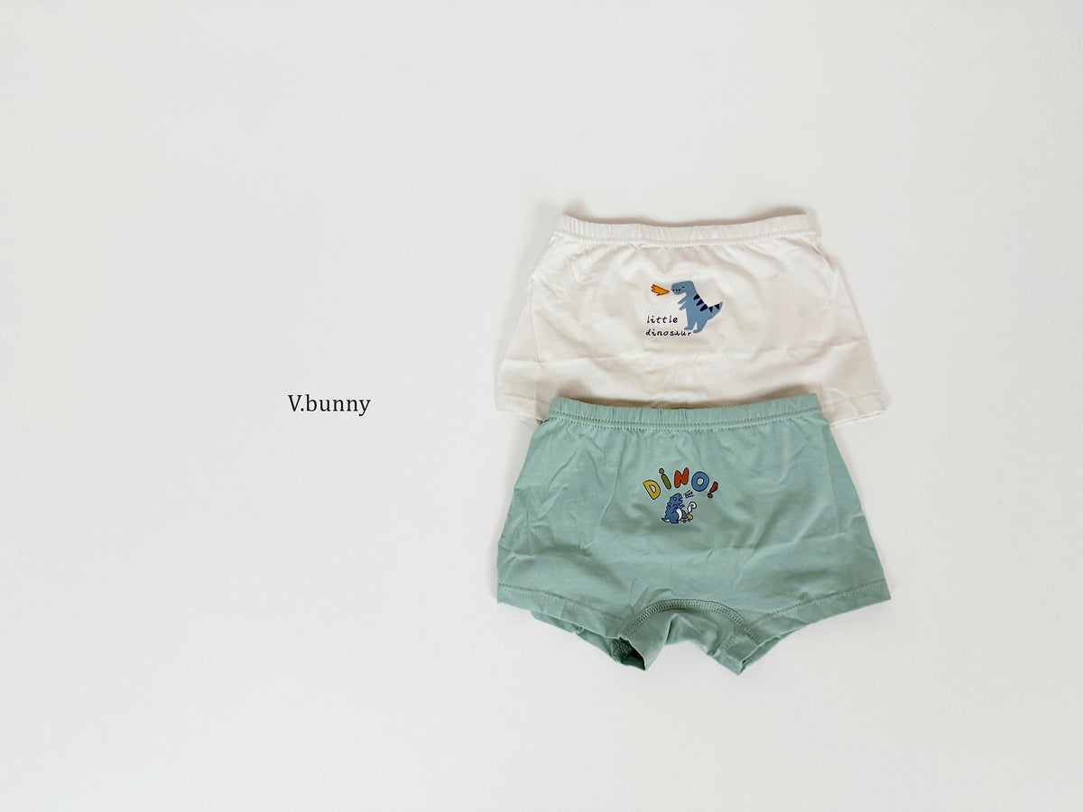 [PRE-ORDER] Dino Boys' Underwear Set