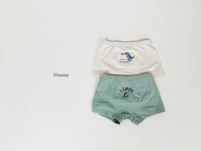 [PRE-ORDER] Dino Boys' Underwear Set