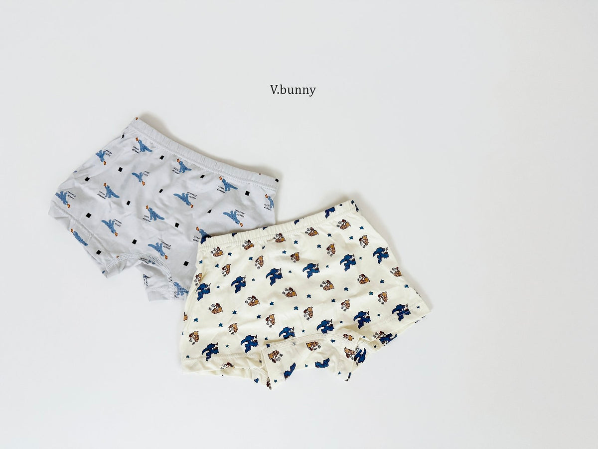 [PRE-ORDER] Dino Boys' Underwear Set