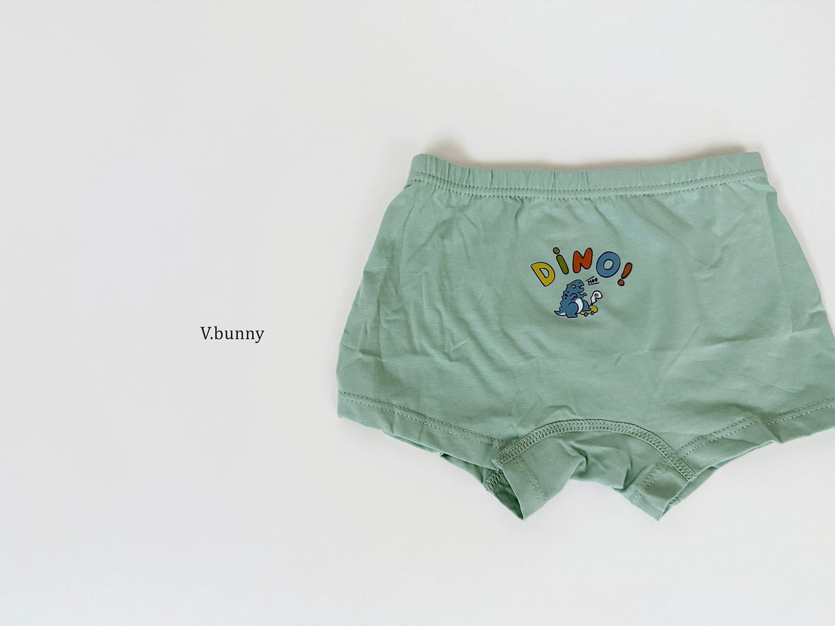 [PRE-ORDER] Dino Boys' Underwear Set