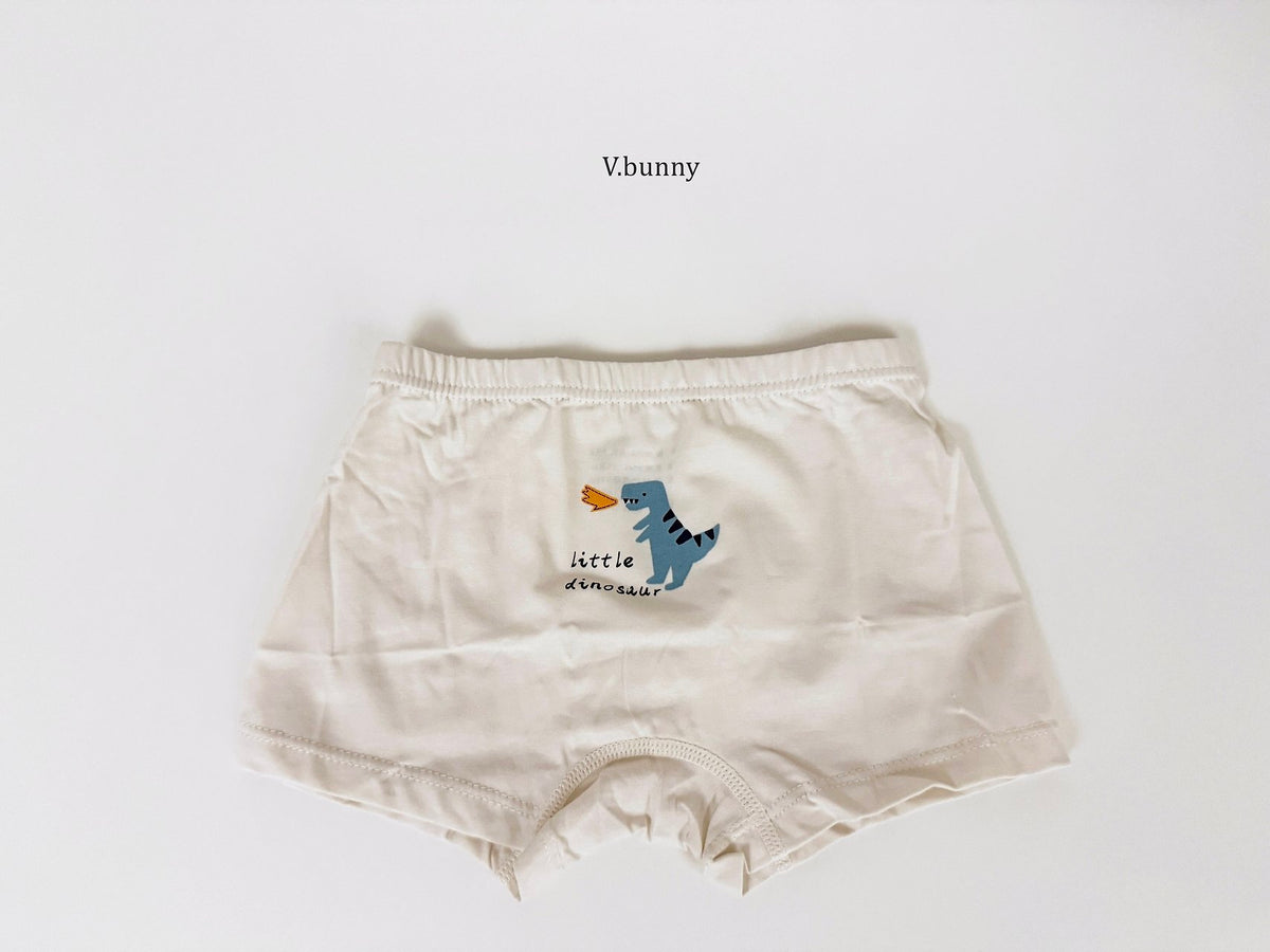[PRE-ORDER] Dino Boys' Underwear Set