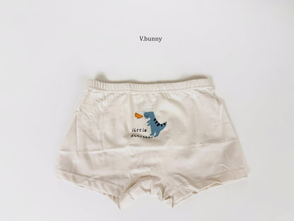 [PRE-ORDER] Dino Boys' Underwear Set