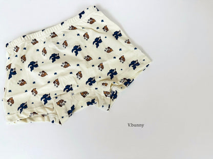 [PRE-ORDER] Dino Boys' Underwear Set