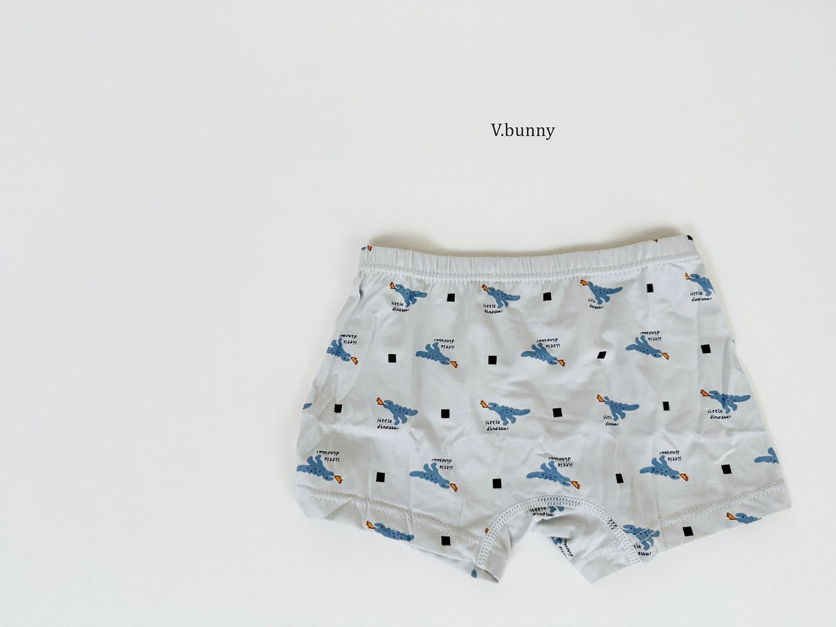 [PRE-ORDER] Dino Boys' Underwear Set