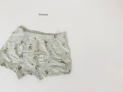 [PRE-ORDER] Jurassic Boys' Underwear Set