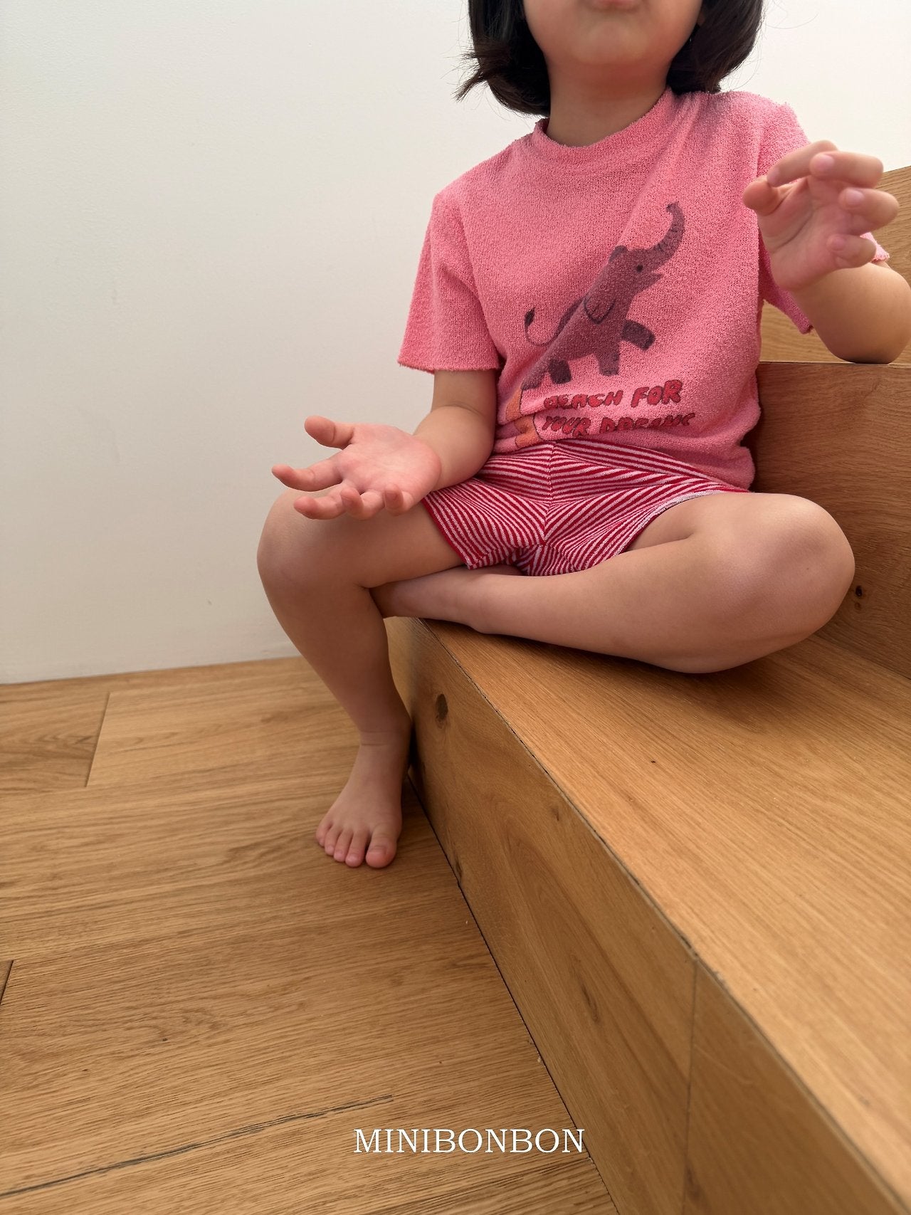 [PRE-ORDER] Dream Elephant T-Shirts