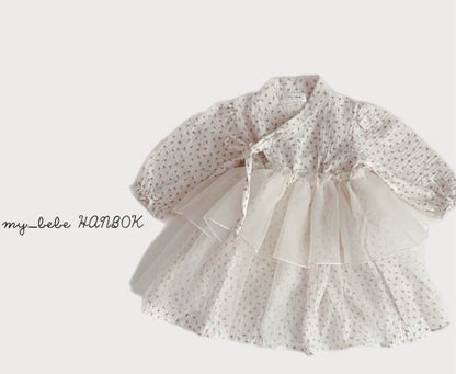 [Limited Time Order] Dress Sha Hanbok