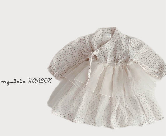 [Limited Time Order] Dress Sha Hanbok