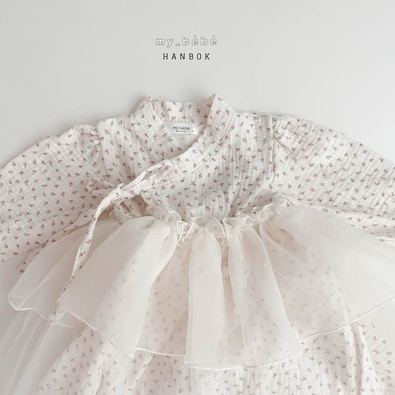 [Limited Time Order] Dress Sha Hanbok