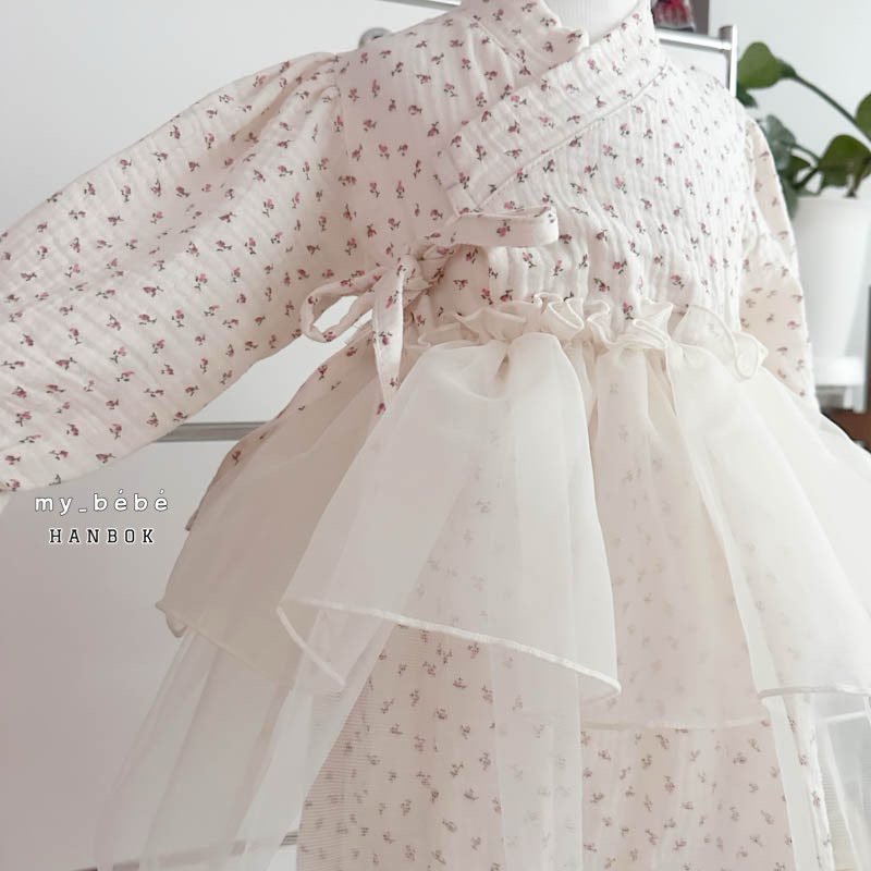 [Limited Time Order] Dress Sha Hanbok