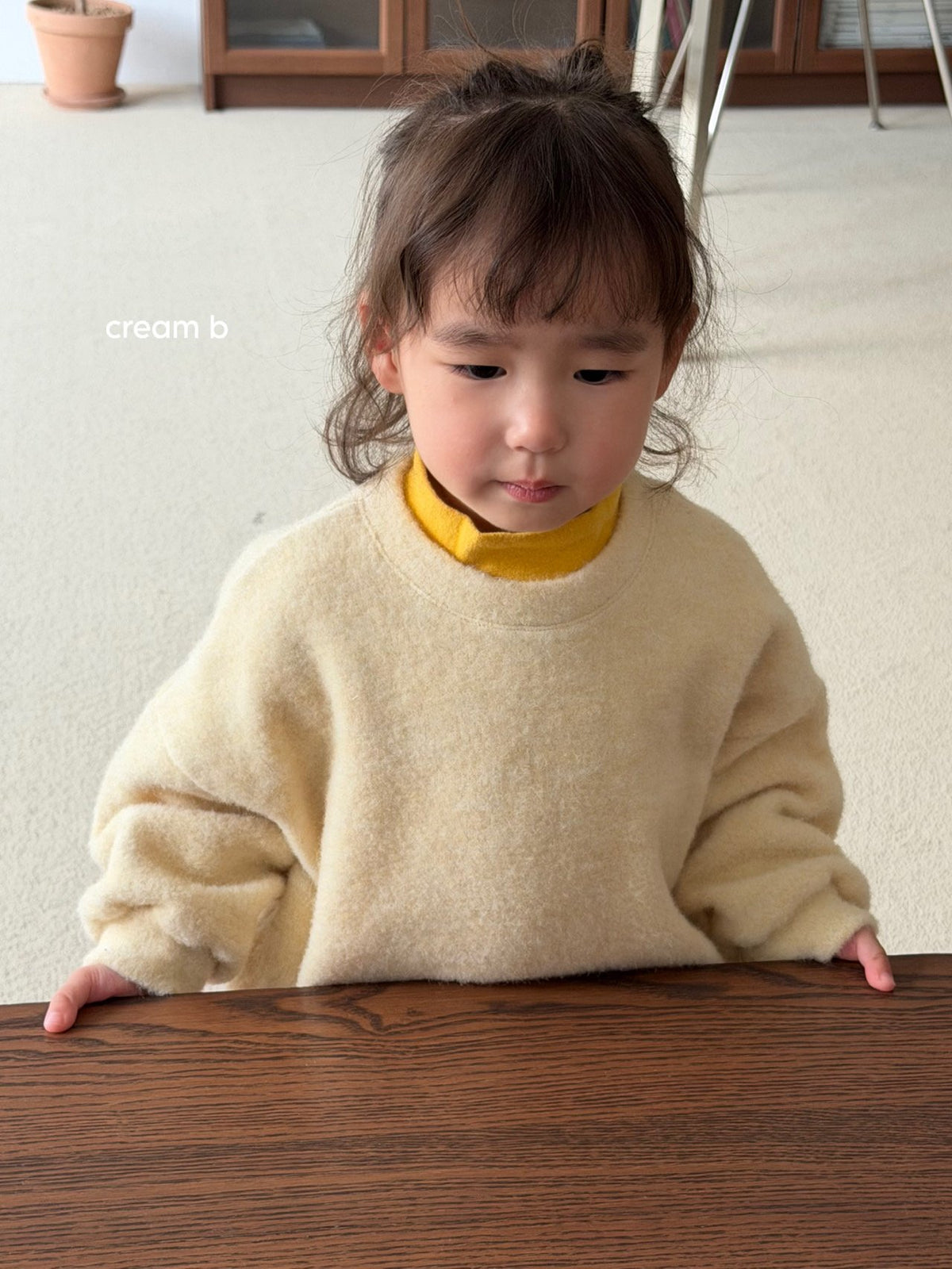 [PRE-ORDER] Cozy Angora Knit Sweatshirts