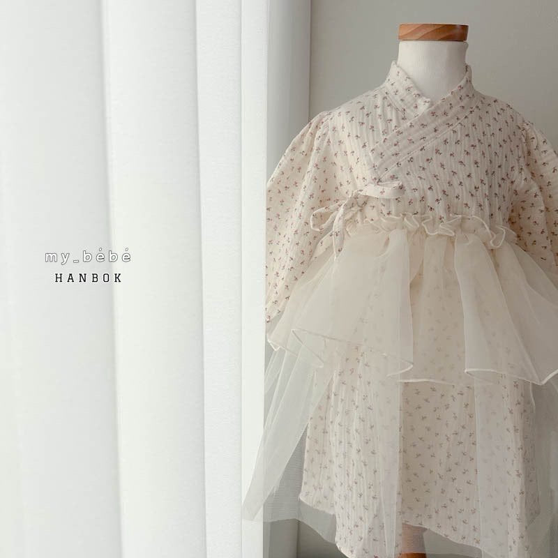 [Limited Time Order] Dress Sha Hanbok